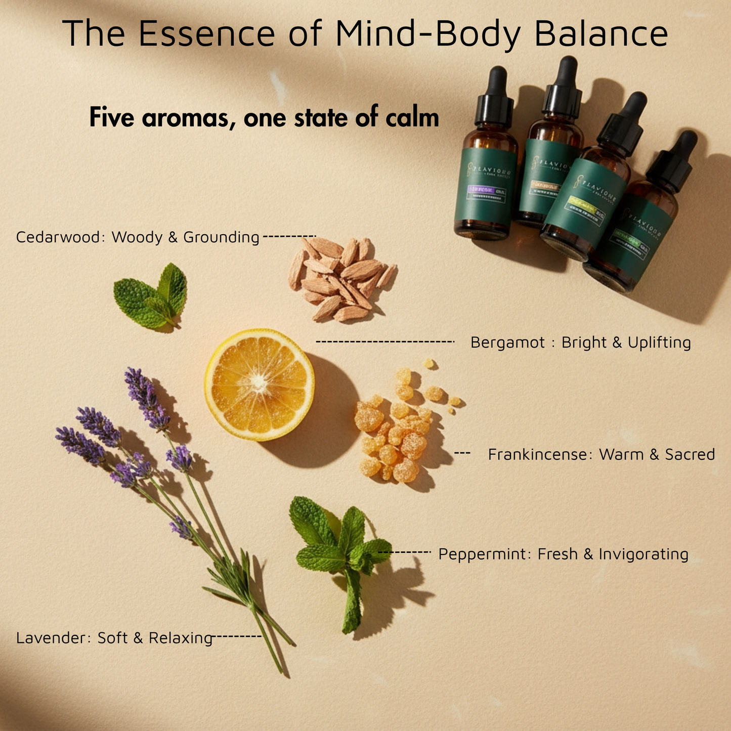 Flaviour 5-in-1 Essential Oil Gift Set | Bergamot, Cedarwood, Frankincense, Lavender & Peppermint – 10ml Each