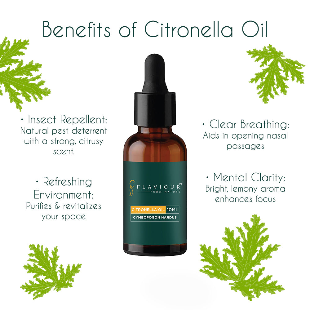 Flaviour Citronella Essential Oil - Flaviour