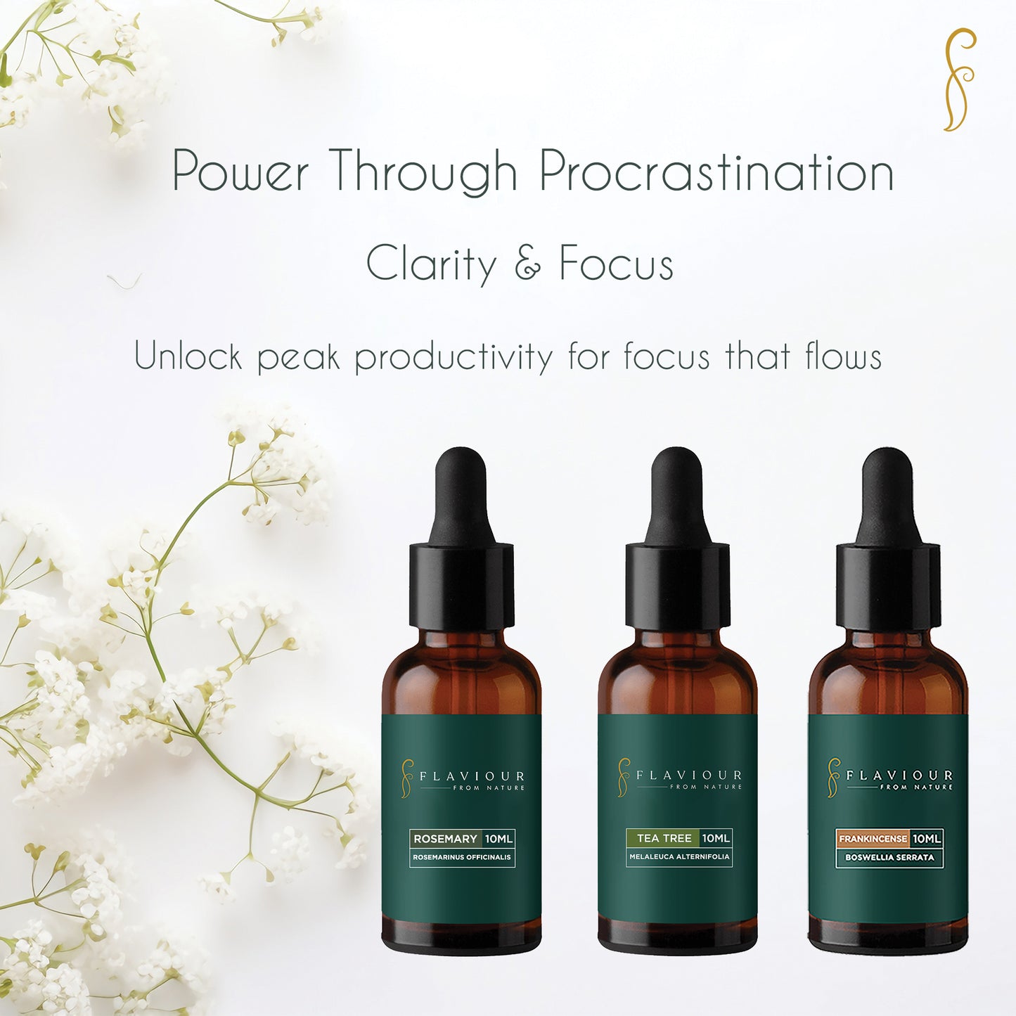 Clarity & Focus Combo - Flaviour