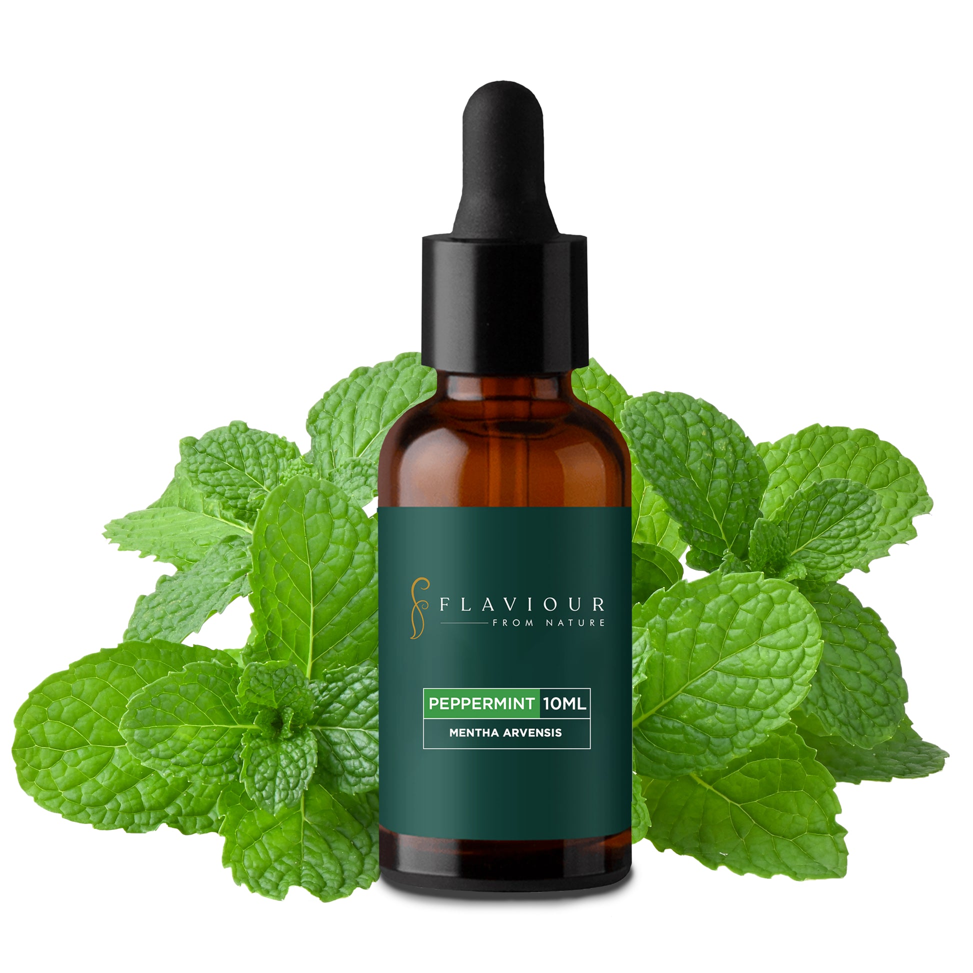 Flaviour Peppermint Essential Oil - Flaviour