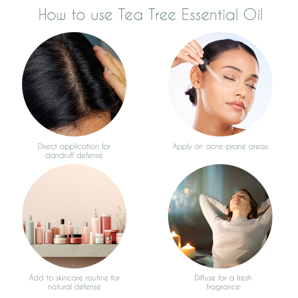 Flaviour Tea Tree Essential Oil - Flaviour