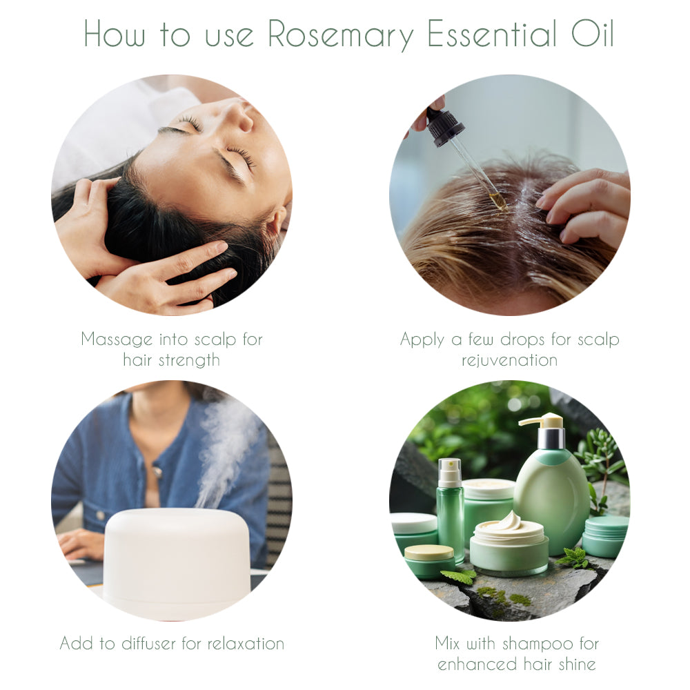 Flaviour Rosemary Essential Oil - Flaviour