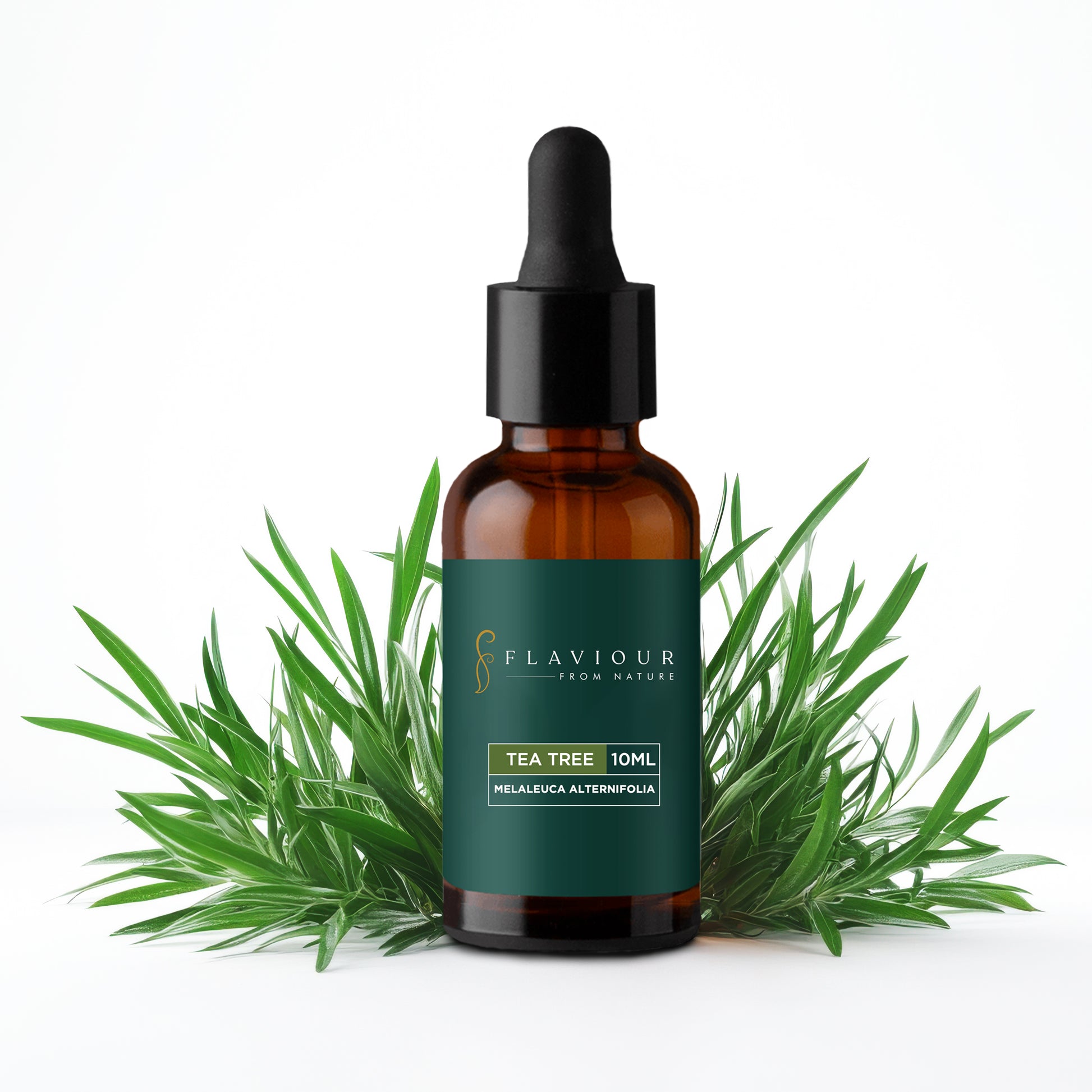 Flaviour Tea Tree Essential Oil - Flaviour 