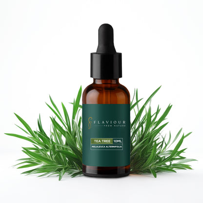 Flaviour Tea Tree Essential Oil - Flaviour 